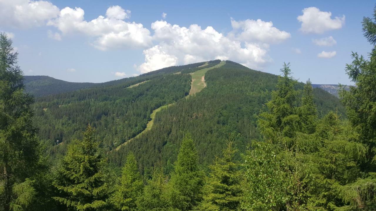 Apartman Medvedin 306 Špindlerŭv Mlýn Екстериор снимка